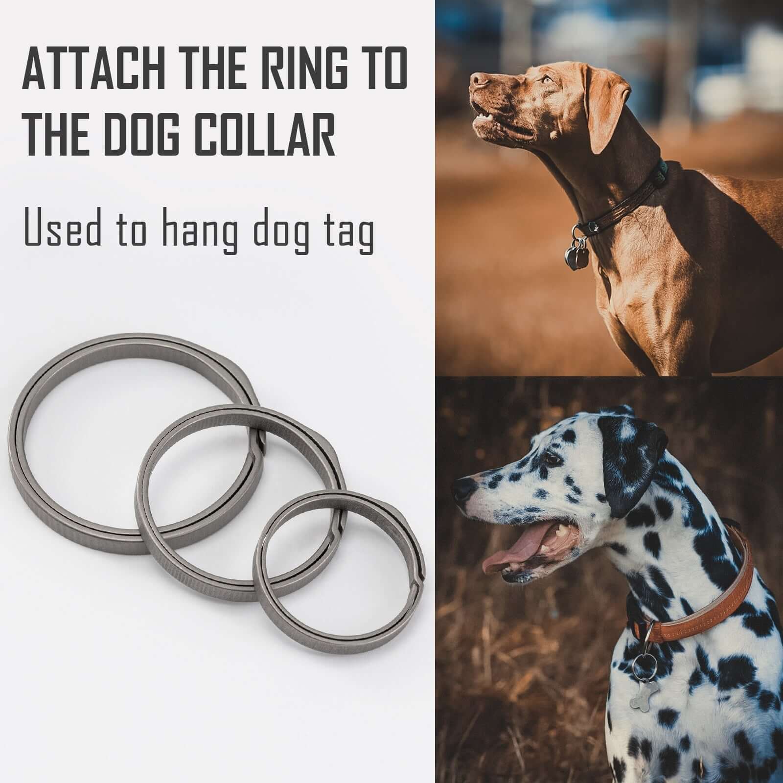 KA21 Titanium Alloy Key Ring Set(1l+4m)