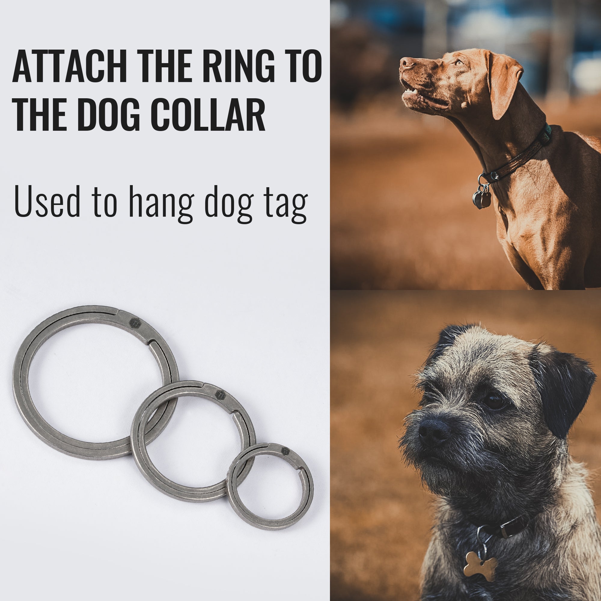 KeyUnity KA18 Titanium Flat Key Rings (1L)