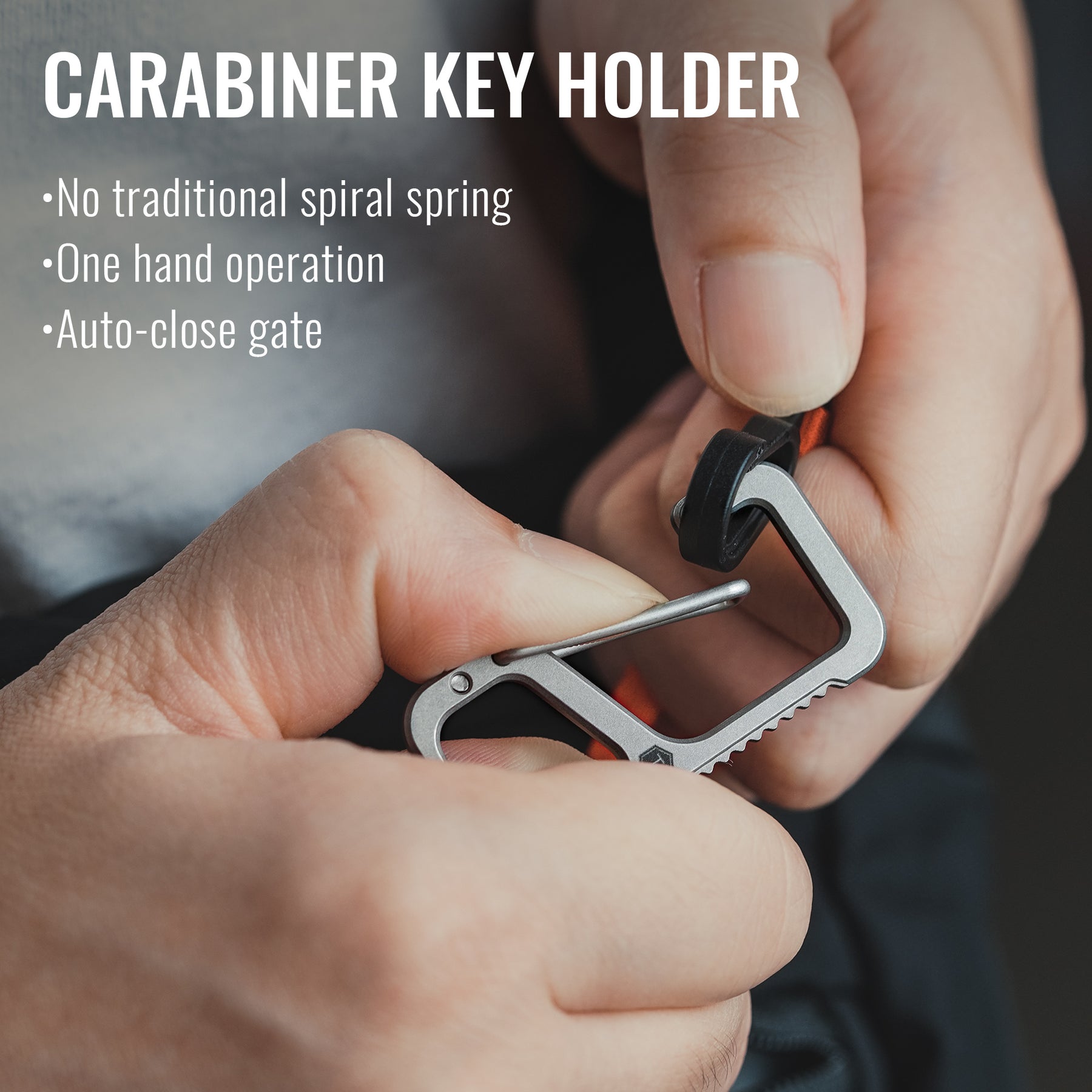 Key Carabiner Nasu-Kan 6